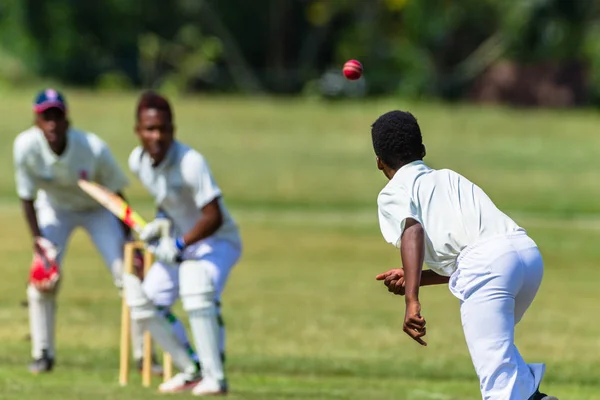 Cricket Action Bowler Ball Batsman