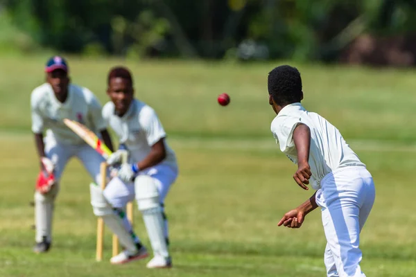 Kriket eylem bowling topu topa vuran oyuncu — Stok fotoğraf