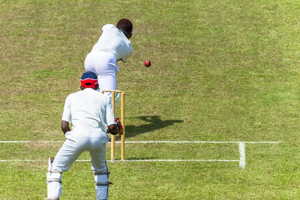 Kriket eylem topa vuran oyuncu topu küçük kapı bekçisi — Stok fotoğraf