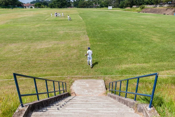 Cricket neuer Schlagmann — Stockfoto