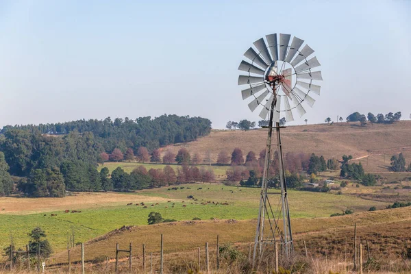 Criação de gado de moinho de vento — Fotografia de Stock