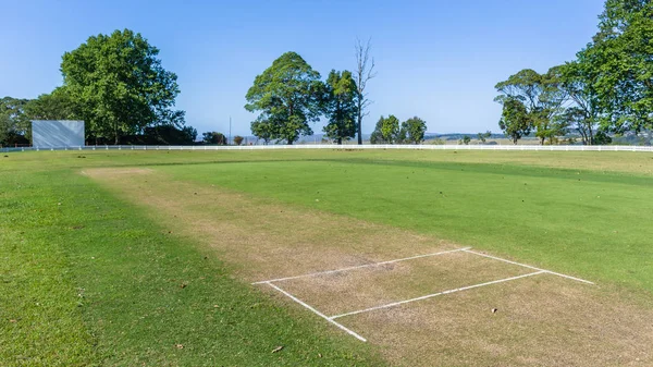 Cricket Herbe Wicket Batting Pitch Champ frontière paysage — Photo