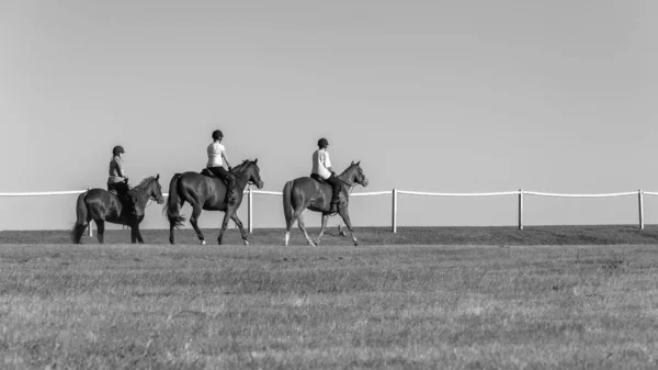 Koně Ženy na koni Cvičení Krajina — Stock fotografie
