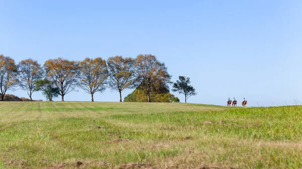 Caballos Mujer Cabalgatas Ejercicio Paisaje — Foto de Stock