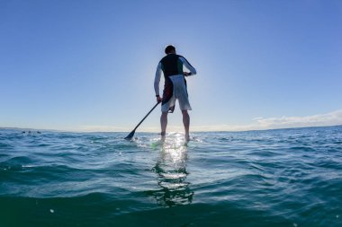 Sörfçü Ayağa kalk Paddle Surfboad Silhouetated Ocean
