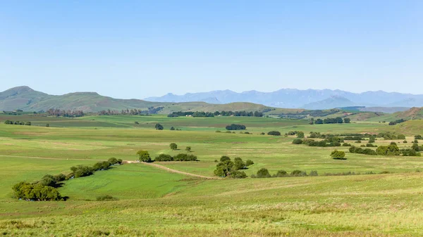 Sommar Lantbruk Landskap Landskap Landskap — Stockfoto