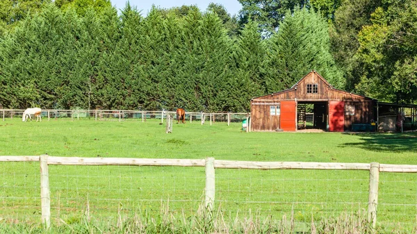 Summer Equestrian Farm Barn Stable Two Horses Landscape — Stock Photo, Image