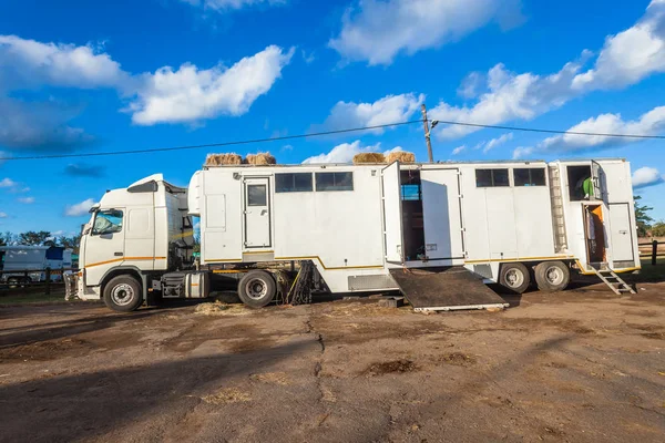 Transport de camion équestre cheval — Photo