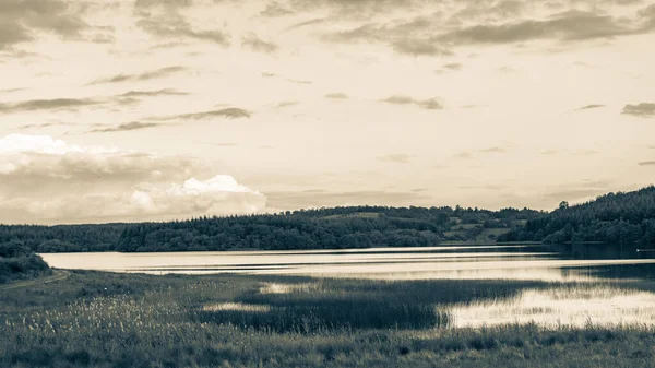 Sepia Fotografie Venkovské Krajiny Jezera Lochpanoramatické Vodní Krajiny Severozápadním Irsku — Stock fotografie