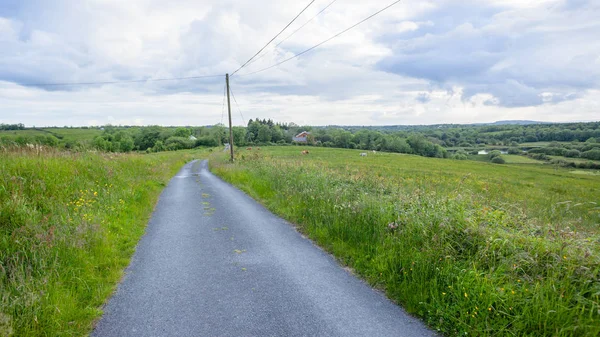 Αγροτική Οδική Διαδρομή Αγρόκτημα Τοπίο Γραφικό Τοπίο Στη Βορειοδυτική Ιρλανδία — Φωτογραφία Αρχείου