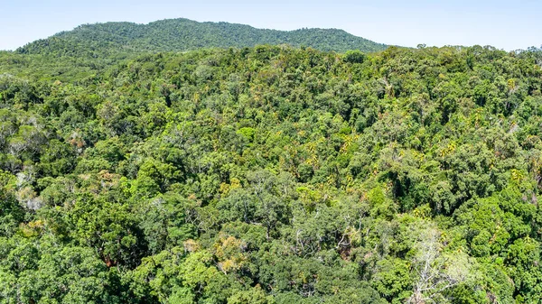 Jungle Tropicale Arbres Verts Collines Dense Végétation Campagne Campagne Aérienne — Photo