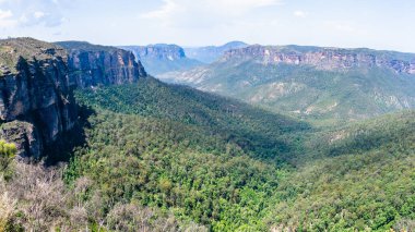 Manzaralı mavi dağ manzaralı kaya kayalıkları ulusal parktaki vadiye kadar uzanan sakız ağaçlarına bakıyor..