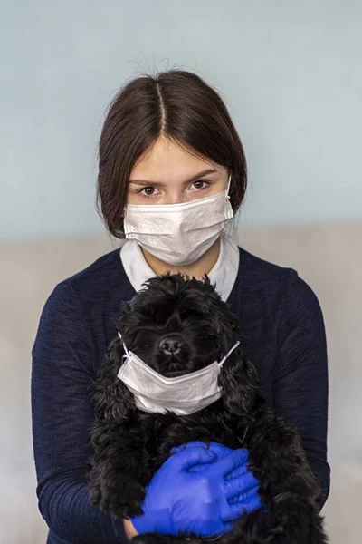 Coronavirus Chinese. A girl in medical gloves and a mask holds a black dog in a medical mask. Prevention of infection.