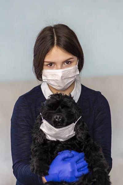 Coronavirus Chinese Girl Medical Gloves Mask Holds Black Dog Medical Royalty Free Stock Images