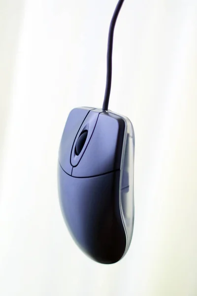 Mouse Computador Sobre Fundo Branco — Fotografia de Stock