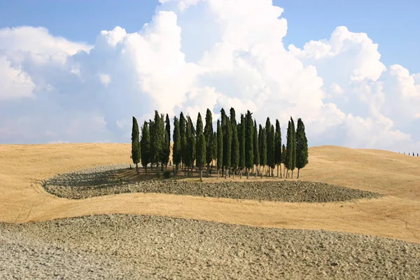 Vista Toscana — Foto de Stock