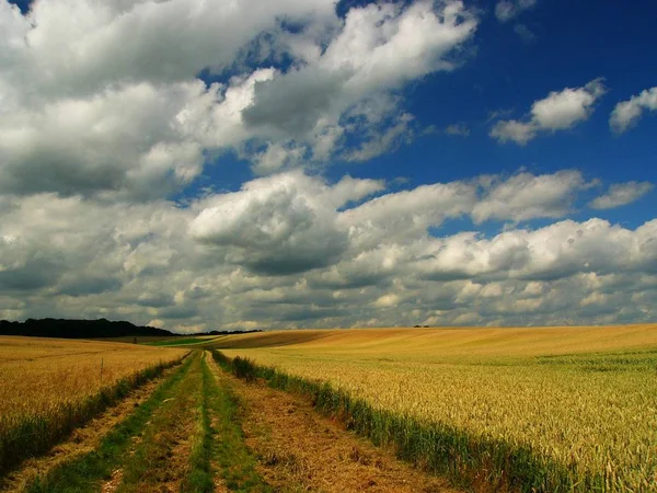 畑や雲が広がる田園風景 — ストック写真