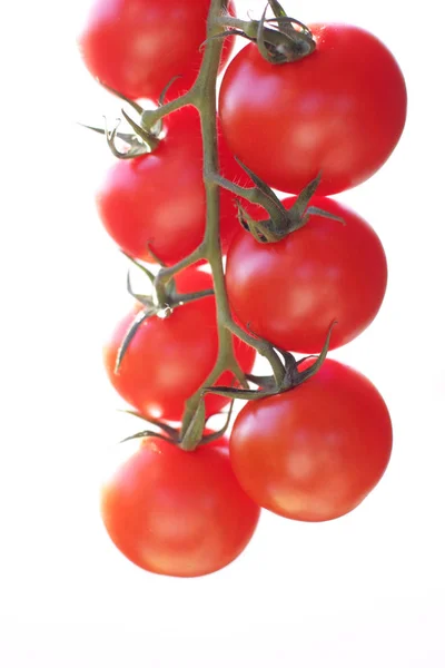 Frische Rote Reife Bio Tomaten — Stockfoto