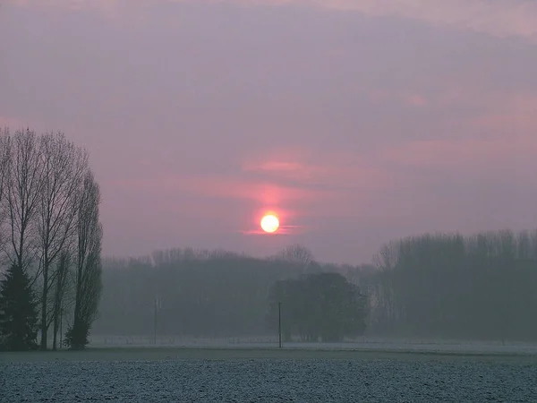 Схід Сонця Нижньому Рейні — стокове фото