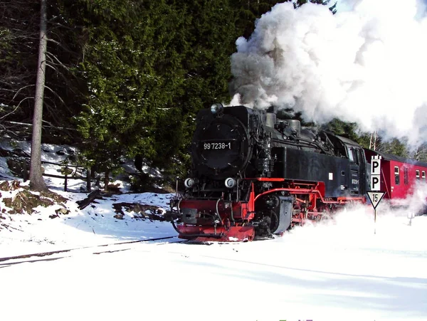 Pociąg Parowy Odjeżdża Zimą 2004 Schierke Kierunku Brocken — Zdjęcie stockowe