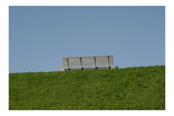 Blank Skylt Gräset — Stockfoto