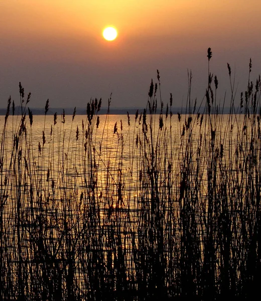 海の上の大気中の夕日 — ストック写真