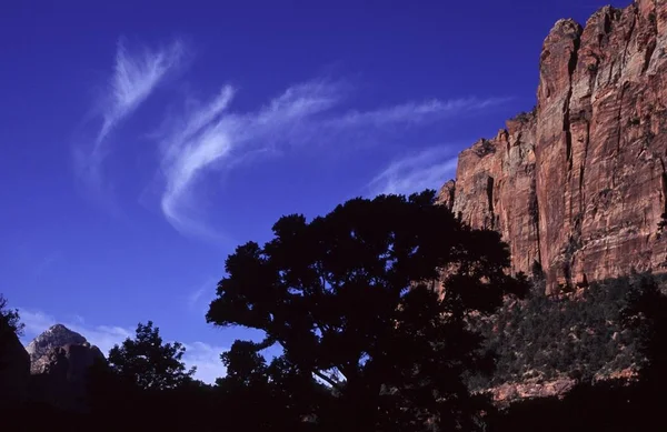 Zion National Park Utah United States — стоковое фото