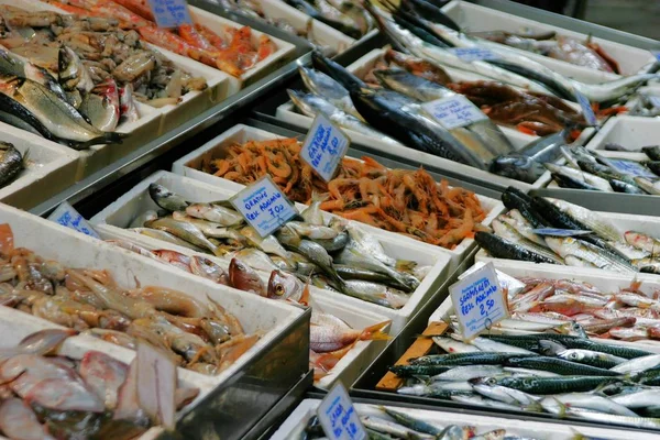 Exhibir Una Tienda Pescado Bologna —  Fotos de Stock