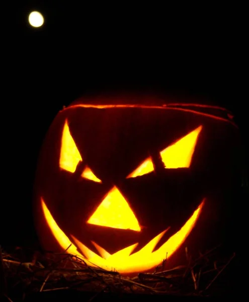 Halloween Abóbora Jack Lanterna Fundo Preto — Fotografia de Stock
