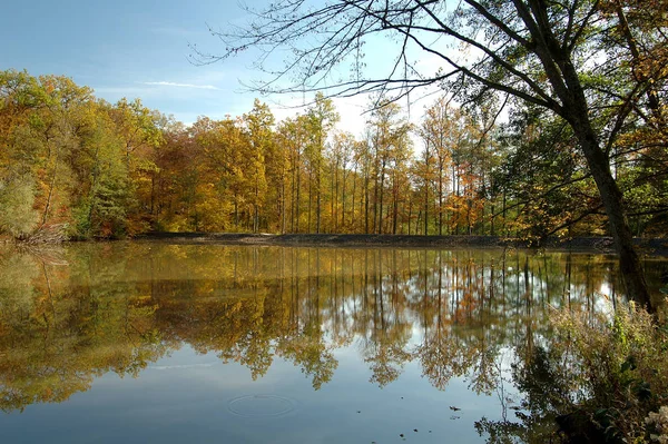 Malowniczy Widok Piękny Jesienny Krajobraz — Zdjęcie stockowe