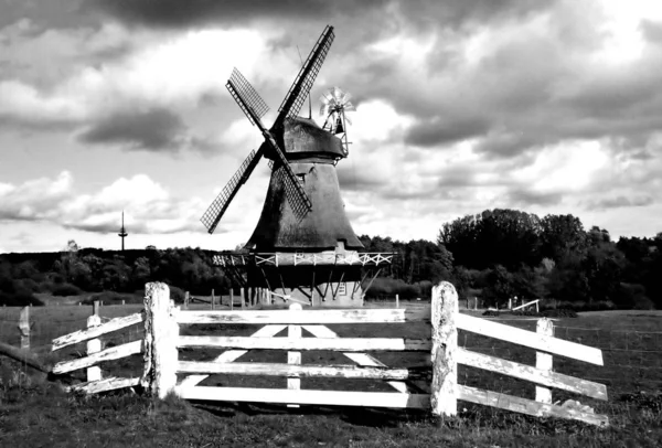 Merci Pour Grande Idée Fotoparadies Tout Temps Noir Blanc Pour — Photo