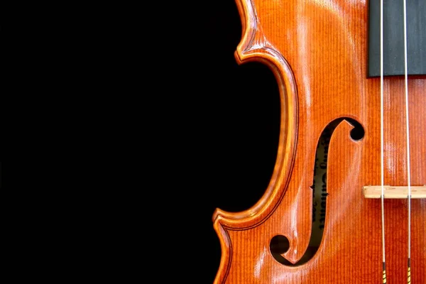 Violino Sobre Fundo Preto — Fotografia de Stock