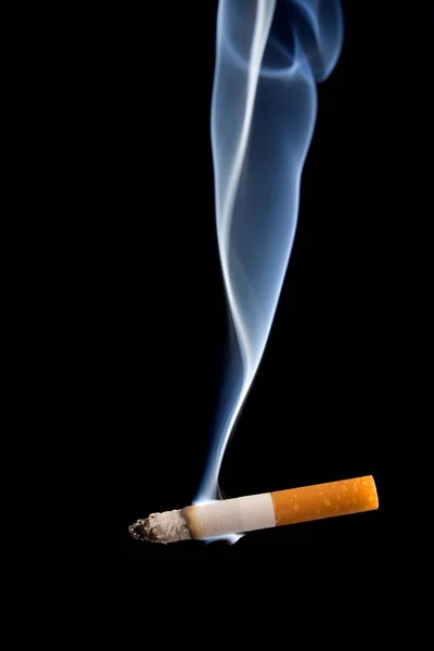 Cigarette Typically Tobacco — Stock Photo, Image