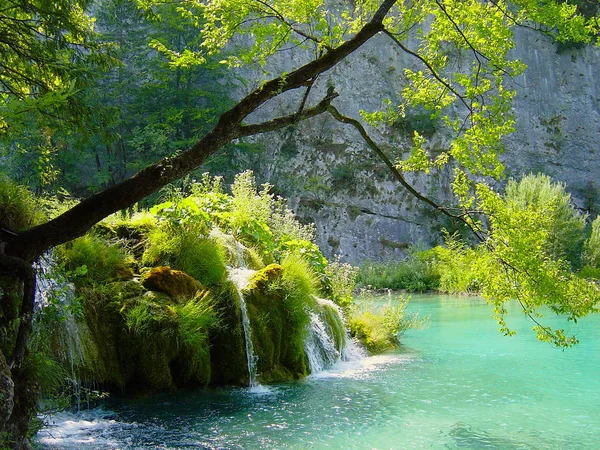 Καταρράκτης Στο Εθνικό Πάρκο Plitvice Croatia — Φωτογραφία Αρχείου