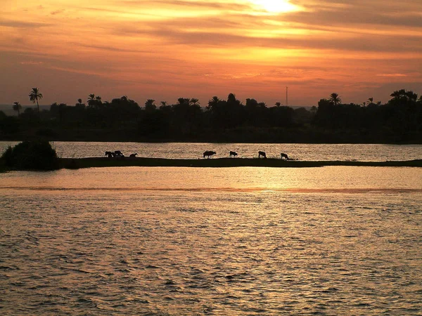 Originated Nov 2003 Nile Cruise — Stock Photo, Image