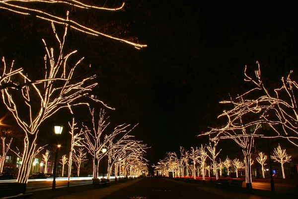 Berlin Weihnachtsglanz — Stockfoto