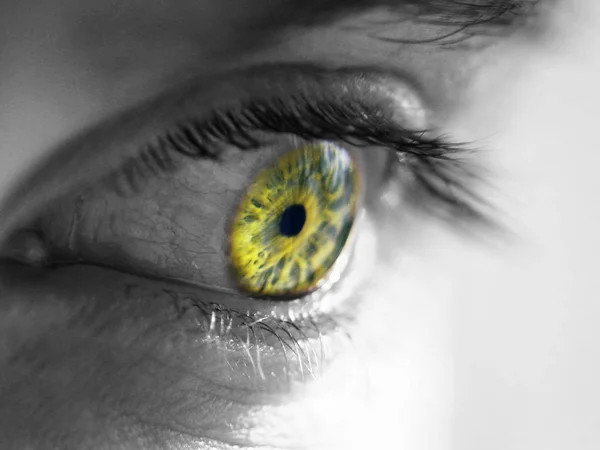 Людське Око Зеленими Очима — стокове фото