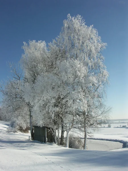 Bela Paisagem Inverno Nevado — Fotografia de Stock