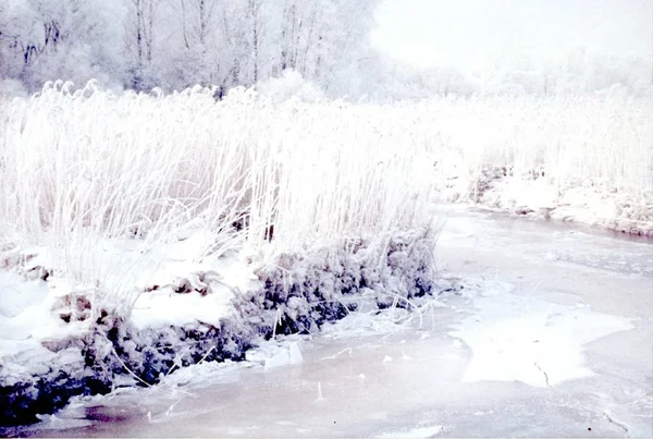 Scann Letého Barevného Obrázku — Stock fotografie