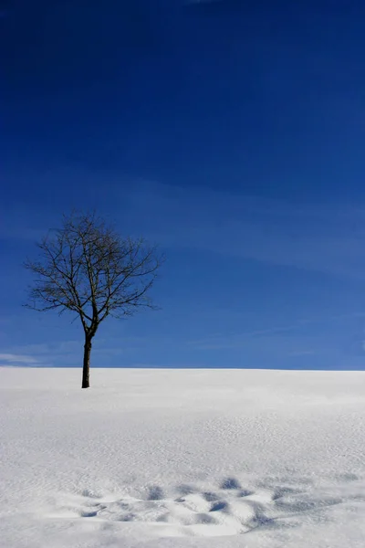 Buon Natale Ore Relax Sacco Regali Desidera Detlef — Foto Stock