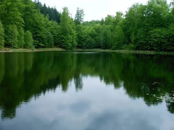 Malebný Výhled Venkovní Scénu — Stock fotografie