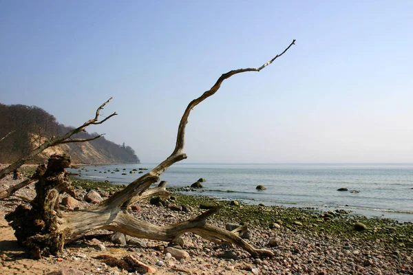 户外景致的风景如画 — 图库照片