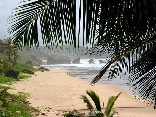 Zwei Glücklich Einem Einsamen Strand Der Ostküste Von Barbados — Stockfoto