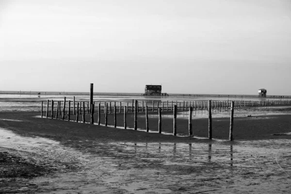 この写真はセント ピーターの海岸で12月24日に撮影されました — ストック写真