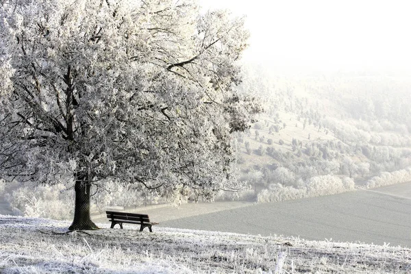 Widok Zimową Scenę — Zdjęcie stockowe