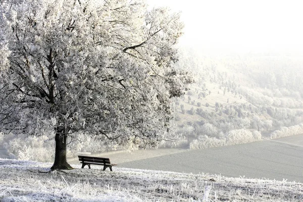 Vue Une Scène Hivernale — Photo