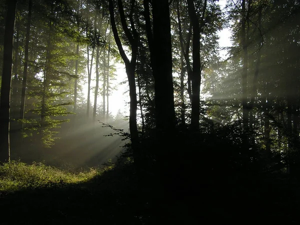 Krásný Výhled Přírodní Scenérie — Stock fotografie