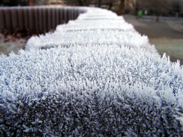 Vue Une Scène Hivernale — Photo