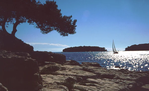 Chorvatský Ostrov Pozdní Odpoledne — Stock fotografie