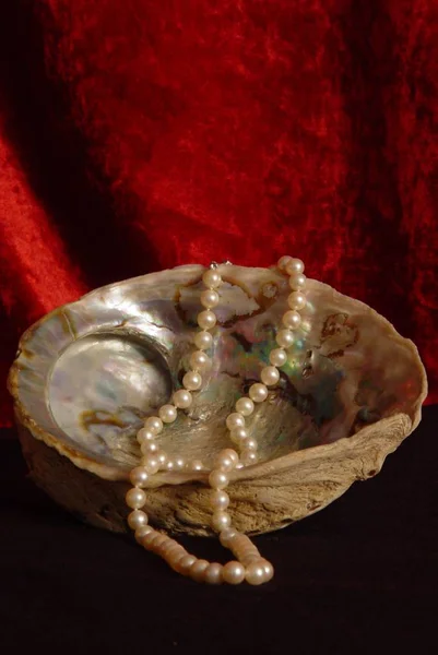 Šperkařský Náhrdelník Móda Doplňky — Stock fotografie